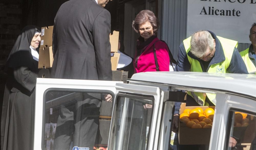 La Reina Sofía visita el Banco de Alimentos de Alicante