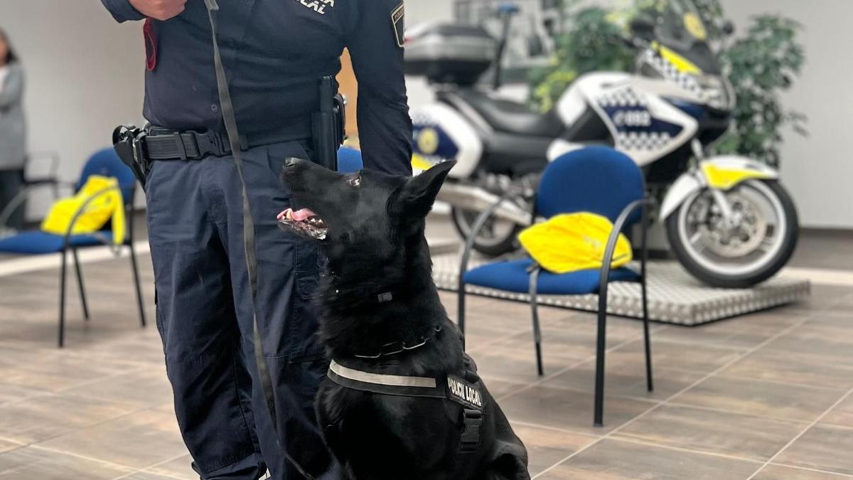 Un perro de la unidad canina de Vila-real, junto a uno de los agentes de la Plantilla.