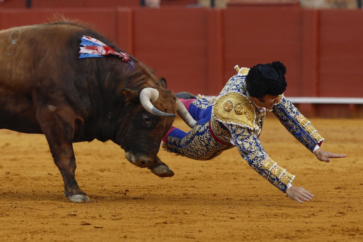 El diestro Morante de la Puebla sufre una cogida durante la novena corrida de la Feria de Abri.