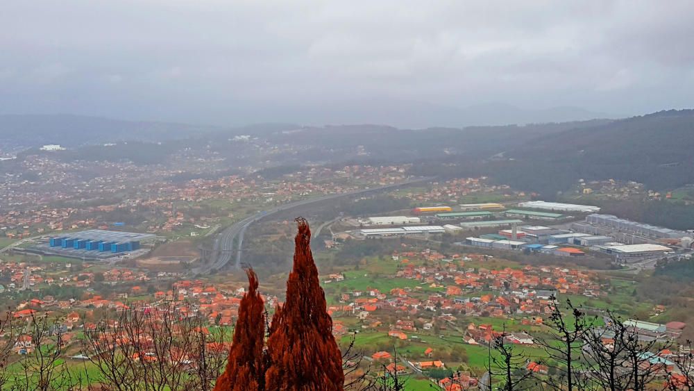 El verde asoma en el monte Alba // Marta G. Brea