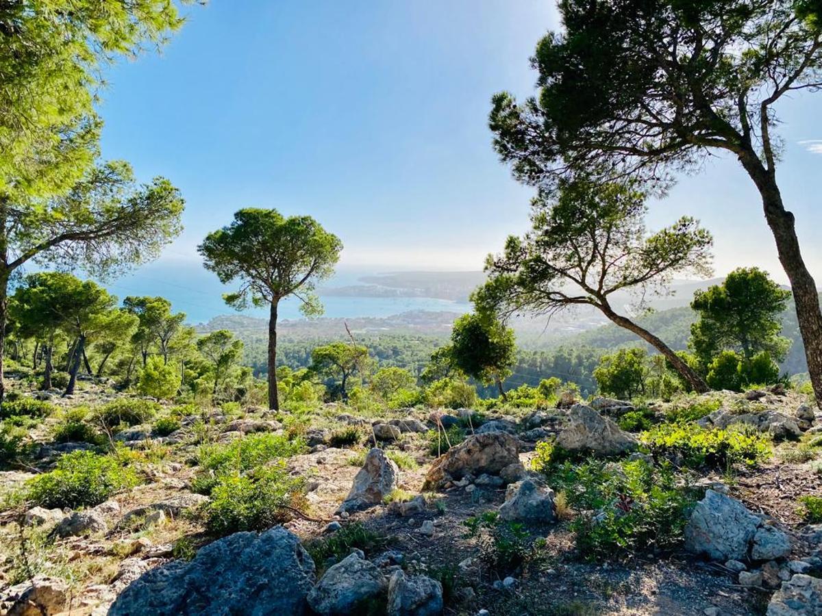 Die Aussicht auf dem Weg zu den "Antenas de Calvià" ist traumhaft.