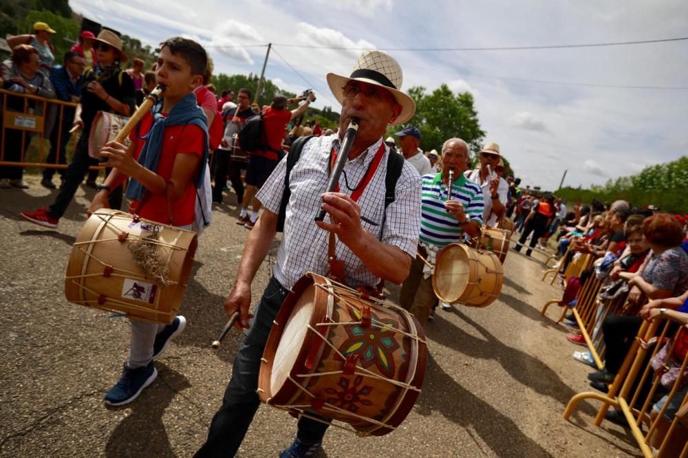 La Concha recorre el trayecto entre Zamora y el mu