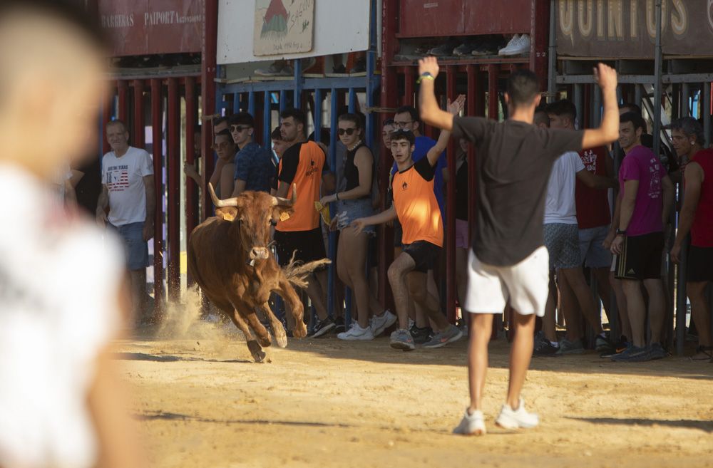 Actos taurinos en las fiestas de Sagunt.