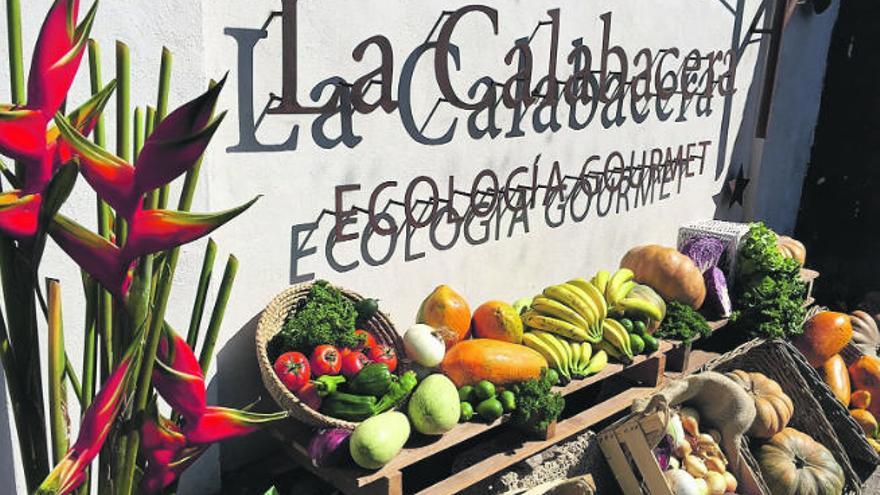 Imagen de parte de la producción desarrollada en la finca ecológica La Calabacera, situada cerca del núcleo costero de Playa San Juan, en Guía de Isora.