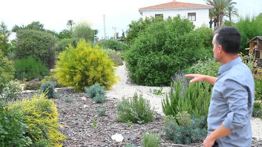Las rotondas de la Ronda Sur de Elche serán islas de biodiversidad