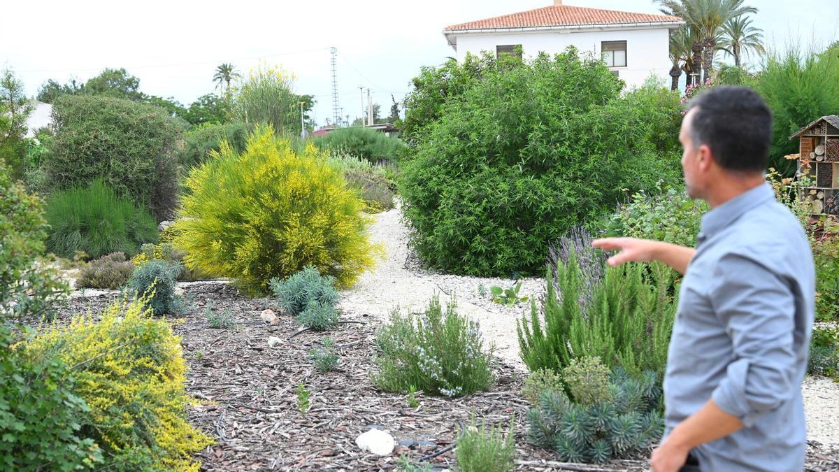 Tecnología para proteger las plantaciones en el Camp d'Elx del estrés hídrico