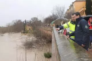 Bellido descarta la posibilidad de inundación en el casco urbano de Córdoba y asegura que una empresa vigila el estado de los puentes