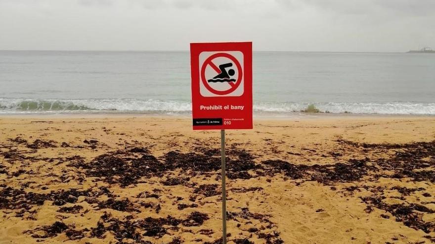 Tres playas de Palma, cerradas al baño este miércoles por vertidos de aguas mixtas
