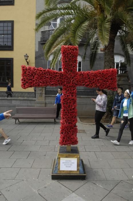 CONCURSO DE CRUCES DE MAYO