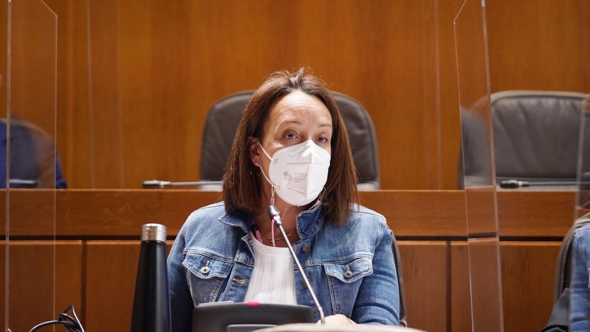 La diputada del PP Carmen Susín.