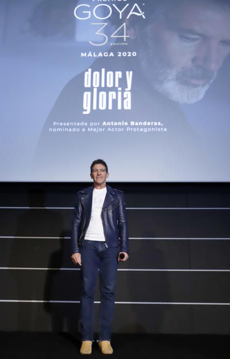 Antonio Banderas presenta 'Dolor y gloria' en Málaga tras ser nominado al Oscar