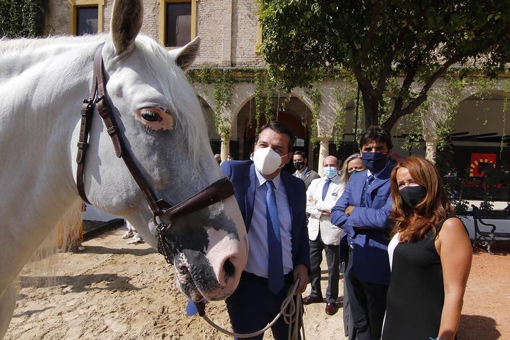 Presentación de Cabalcor 2020