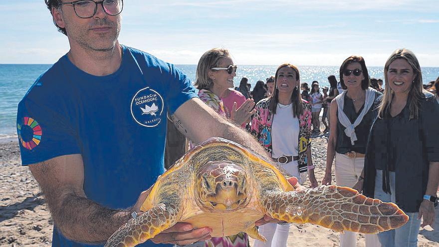 Suelta de la tortuga &#039;Benafelí&#039; en Almassora