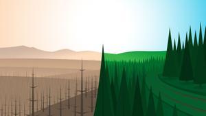 ¿Junts contra el foc?