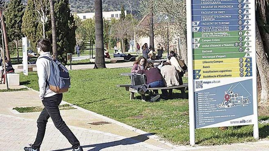 Estudiantes de la Universitat en el campus de la carretera de Valldemossa.