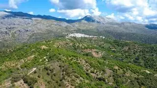 Una escapada perfecta a la naturaleza de Málaga: este es el sendero rural que une dos pueblos con encanto de la provincia
