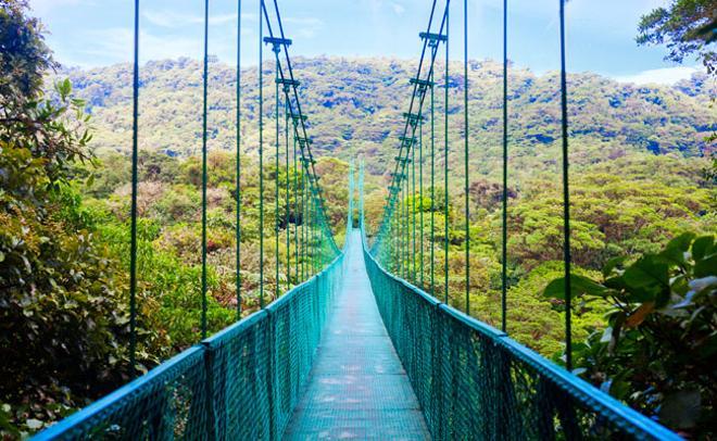 Puente en suspensión en el bosque lluvioso en Costa Rica