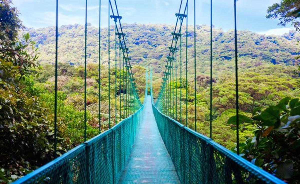 Puente en suspensión en el bosque lluvioso en Costa Rica