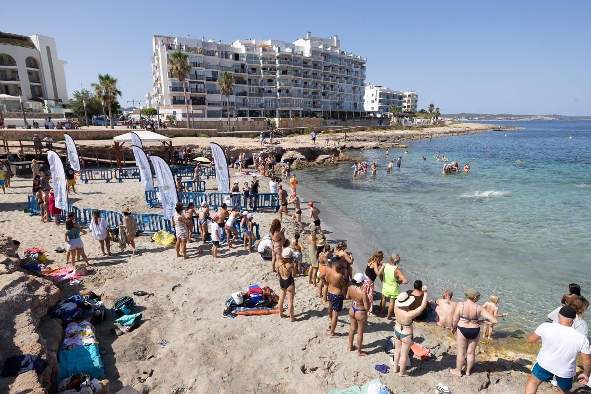 Las imágenes de la travesía a nado del Canal de Sant Antoni