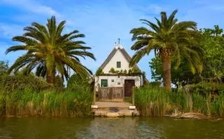 Un destino de menos de 800 habitantes y rodeado de arrozales: entramos en el lugar donde nació la auténtica paella valenciana