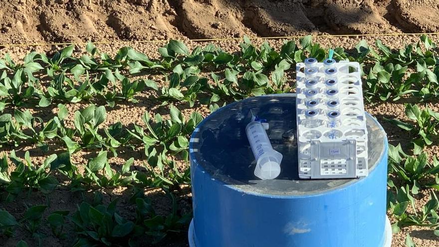 La UMH participa en un proyecto de agricultura sostenible adaptada al calentamiento global