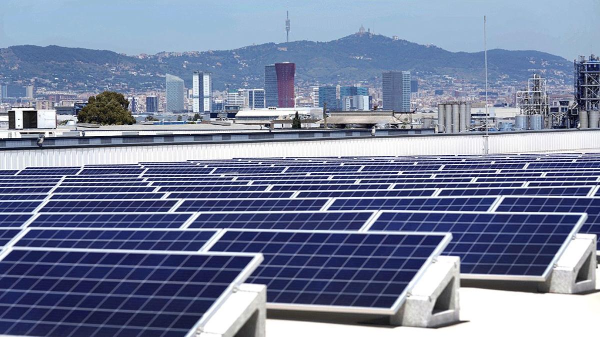 Placas solares en una empresa de Barcelona.