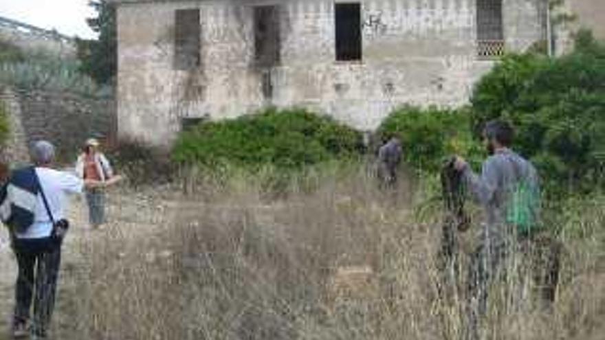 Cerca de 300 personas conocen los encantos del Barranc dels Molins en Ibi