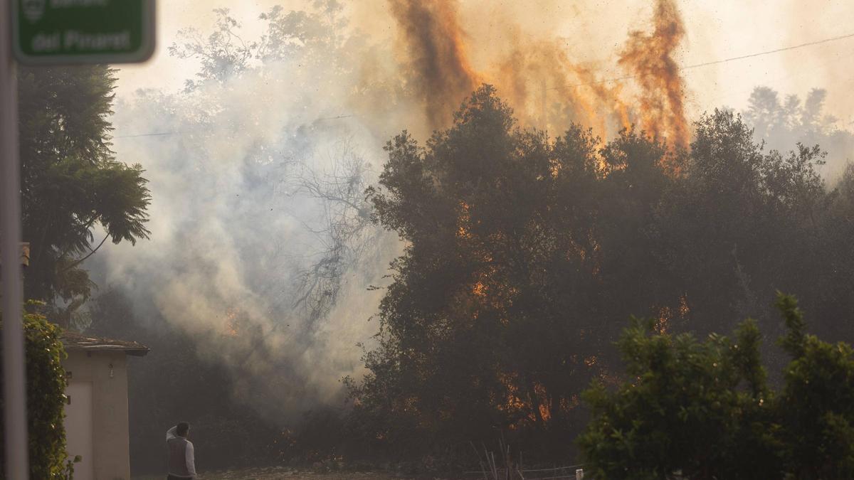 Incendio forestal de Montitxelvo, en noviembre de 2023.