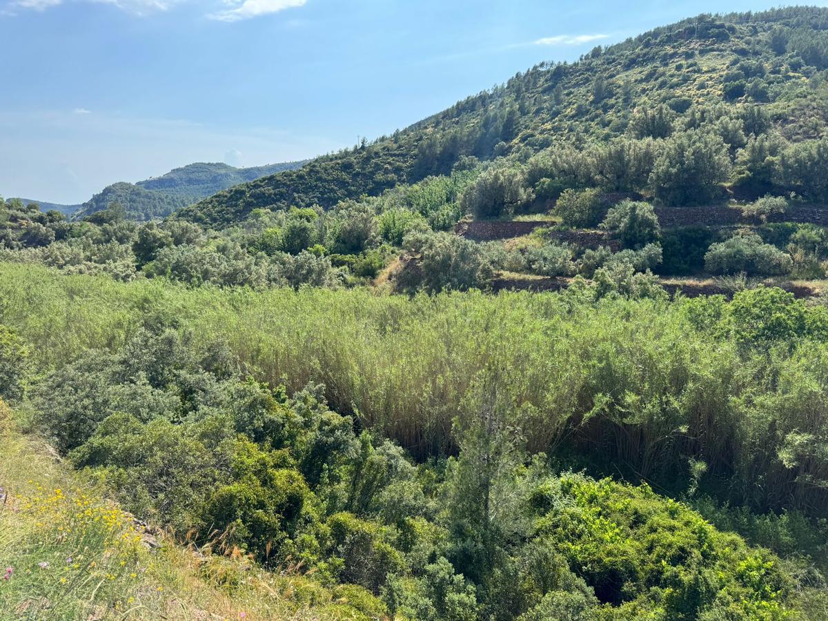 Barranc del Carraixet a l’altura de Gátova