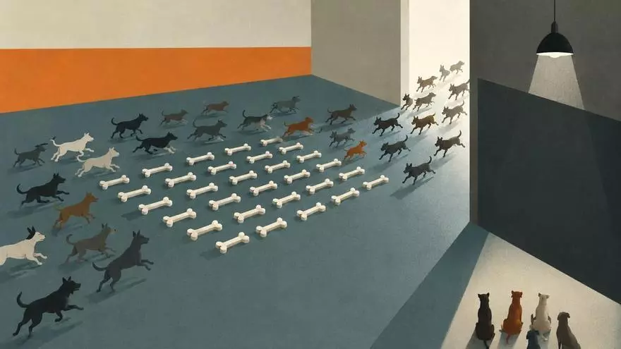 Noranta-cinc ossos per a cent gossos