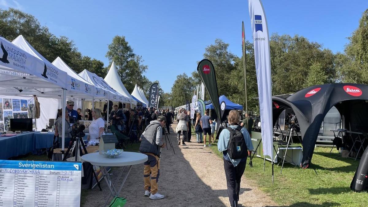 Extremadura viaja a Suecia para atraer a más turistas interesados en la naturaleza.