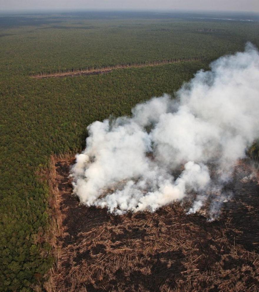 Los incendios de la Amazonía igualan el récord de 2007: más CO2 a la atmósfera