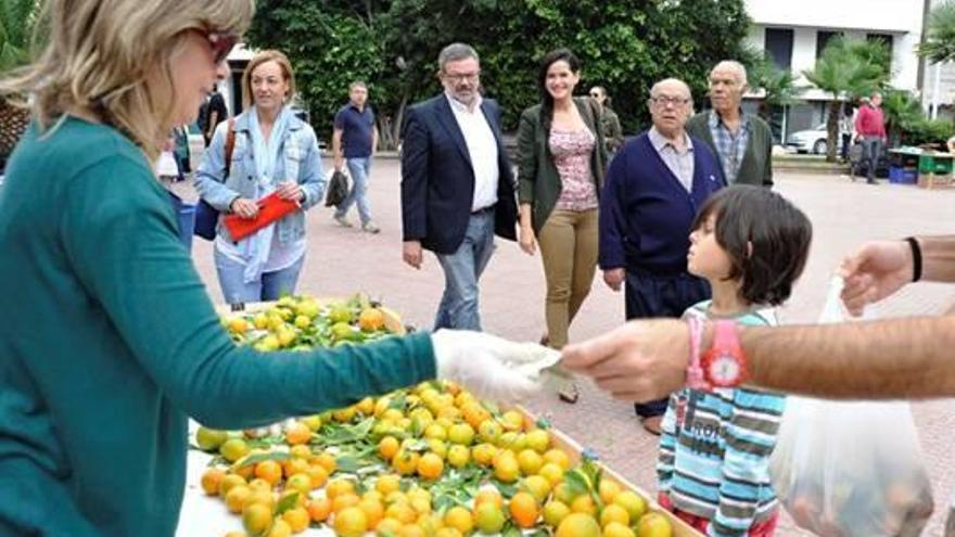 Castelló repartirá en la calle gajos de clementina para Nochevieja