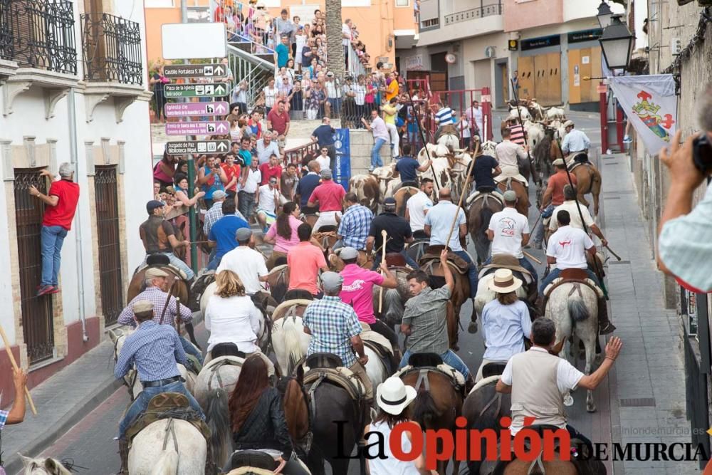 Último encierro en las Fiestas de Moratalla