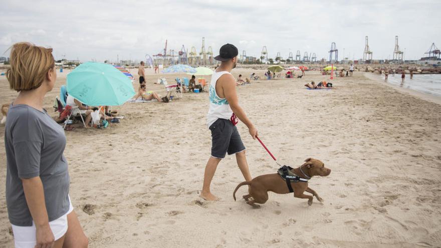 València planea ampliar la playa para perros