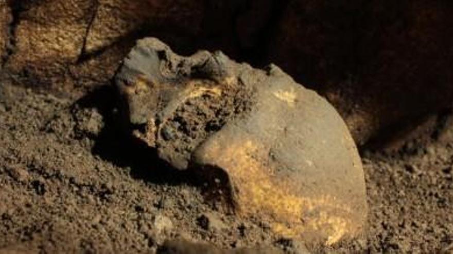 El MARQ descubre un cráneo de 5.000 años de antigüedad en la Cova del Randero de Pedreguer