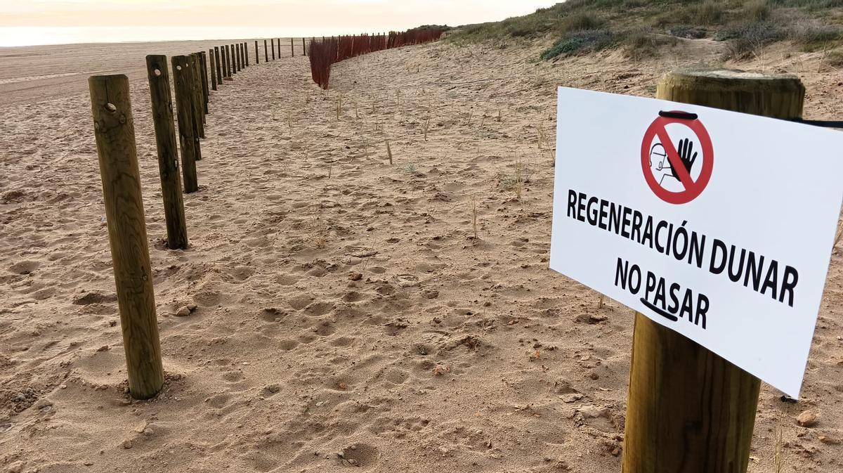 Empalizadas y captadores de apoyo recientemente colocados en la playa de El Altet