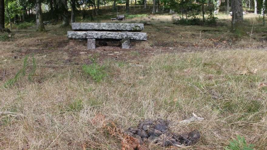 Estado que presenta el parque de Castiñeiras. // Santos Álvarez