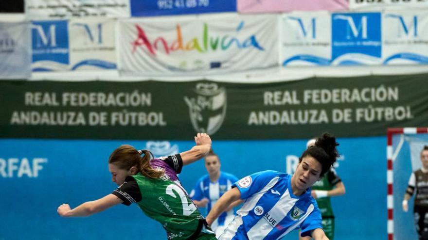 El Nueces de Ronda quiere cerrar el año fuera del descenso
