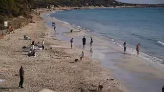 Ibiza registra el segundo mes de enero más cálido de la historia