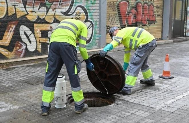 Badalona insta a la ciudadanía a mantener limpios espacios públicos y privados para evitar la proliferación de ratas y cucarachas