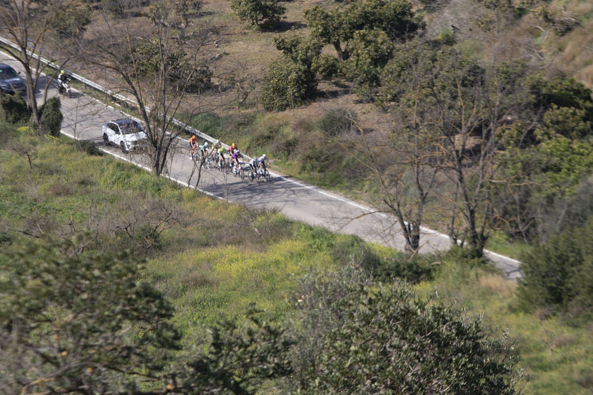 La primera etapa de la Vuelta a Andalucía Ruta del Sol, a su paso por el alto de Canillas del Aceituno
