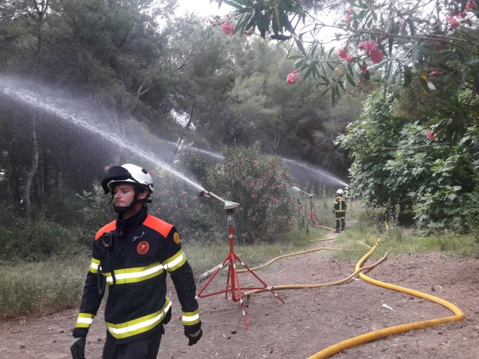 El cuerpo de Bomberos de València renueva sus trajes técnicos