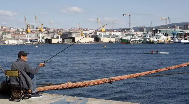 Armón se llevó este año 10 de los 11 contratos firmados en España