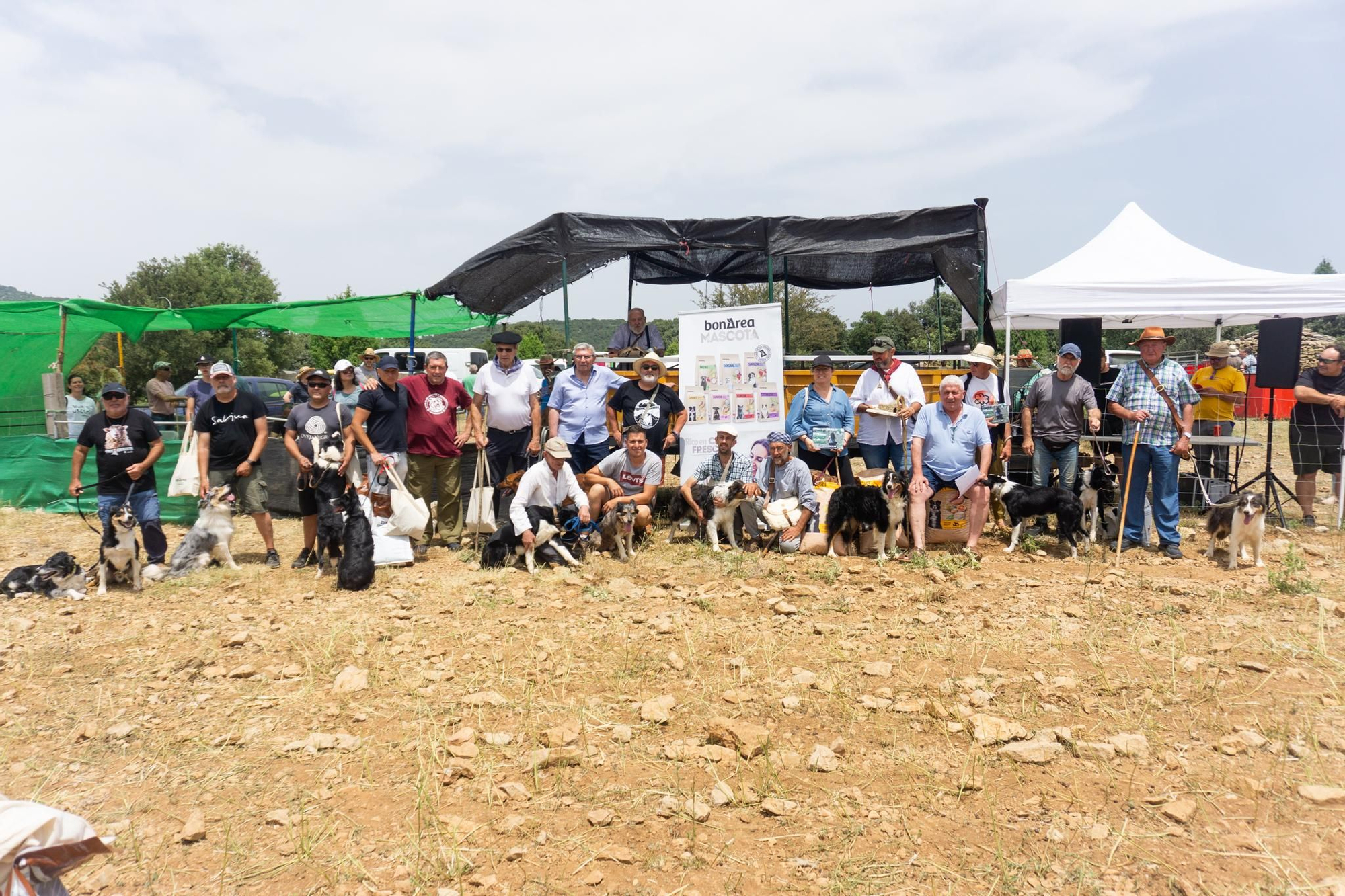 FOTOGALERÍA: Las imágenes del concurso de perros pastores de Ares del Maestrat