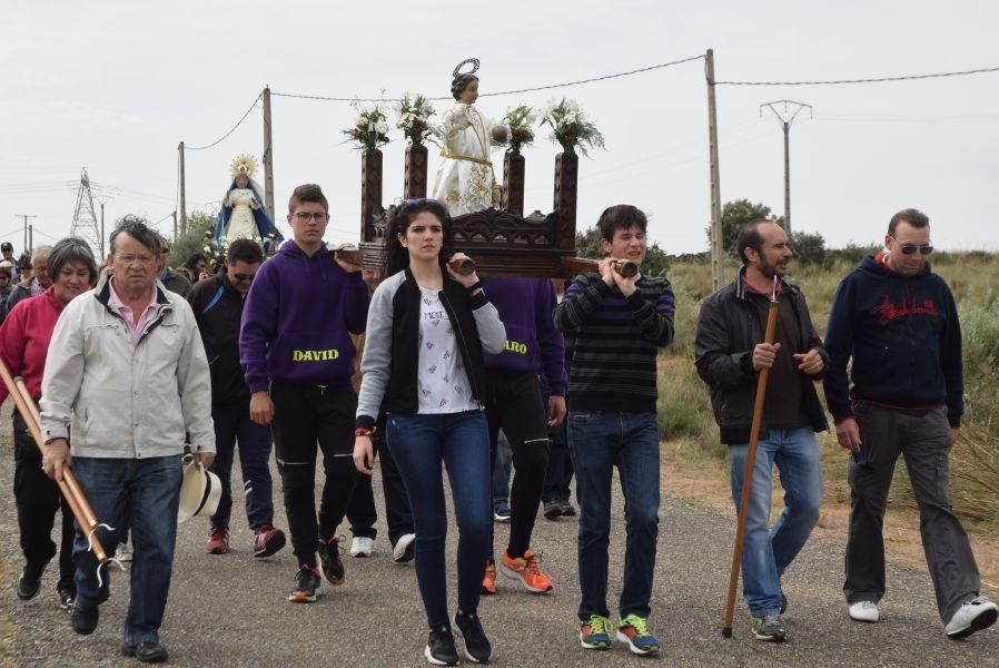 Romería del Cristo en Muelas del Pan.