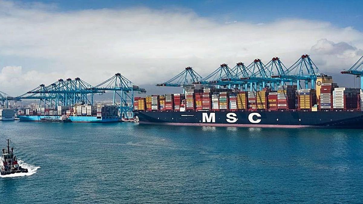 Un buque de MSC en su terminal del puerto de València.