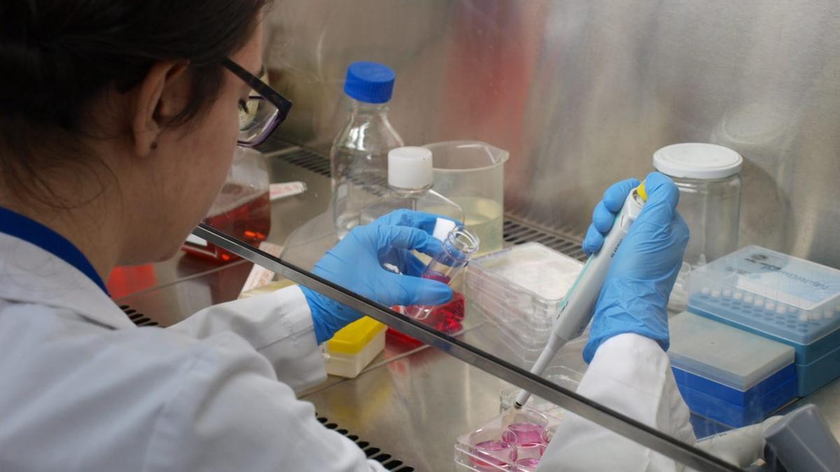 Una imagen de archivo de una estudiante de carreras STEM