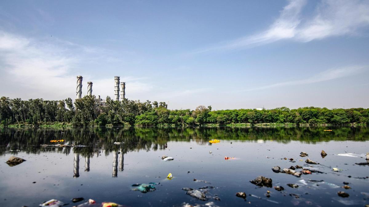 La OMS urge a tomar medidas contra el cambio climático porque se trata de una crisis que afecta a la salud global