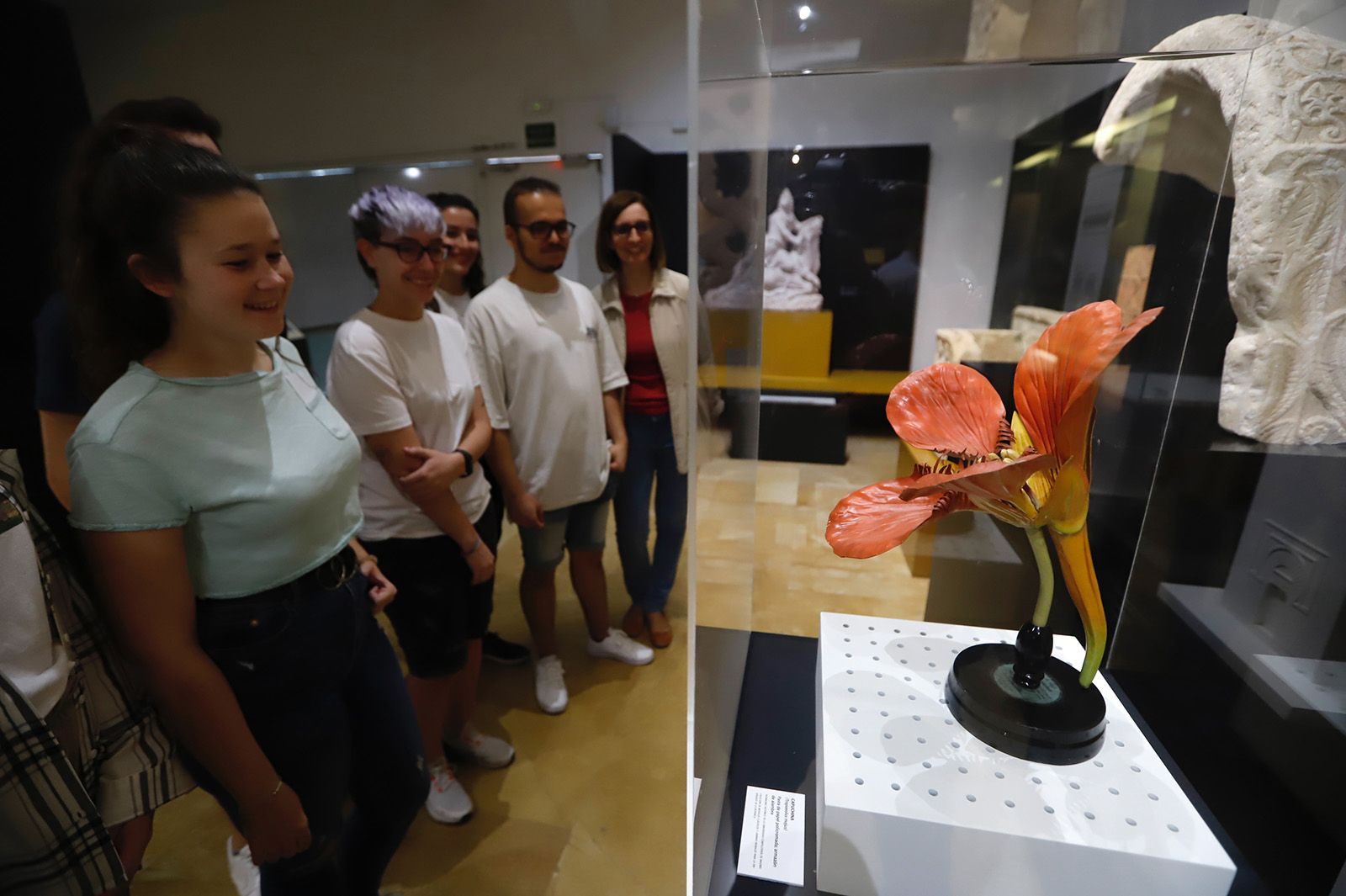 Flora expone el vínculo ancestral entre botánica y arqueología